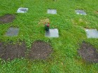 Bonner Politiker-Familie Hupka: Die Geschichte einer Tragödie